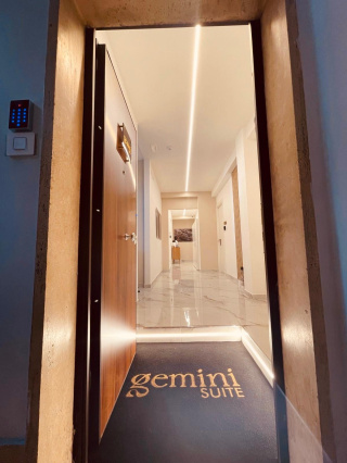 Gemini Suite