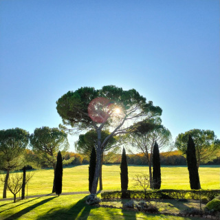 Fattoria Agriturismo Nerbona