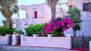 Residence Delle Rose