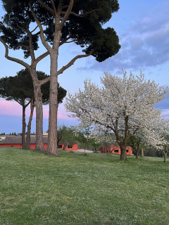 Azienda Agricola Casale Santantonio