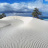 Dune di sabbia bianchissima 