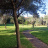 Il giardino 