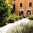 Giardino condominiale interno 2 