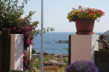 Casa Bouganville